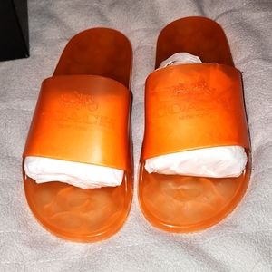 Coach slides